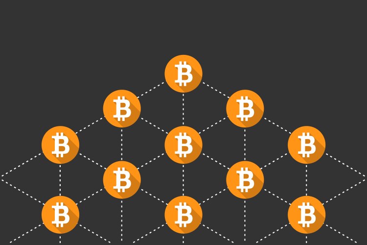 bitcoin network blockchain node vector image