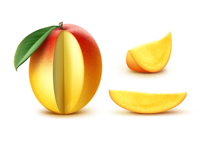Mango fresh fruit graphic Royalty Free Vector Image