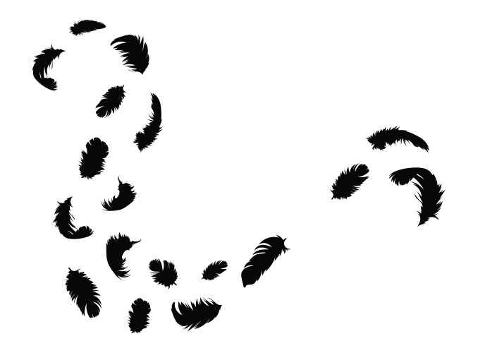 Flock flying feathers a group black Vector Image