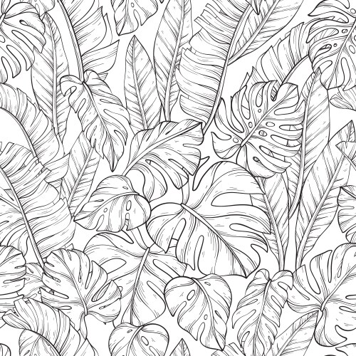 Seamless pattern with outline leafs of monstera Vector Image