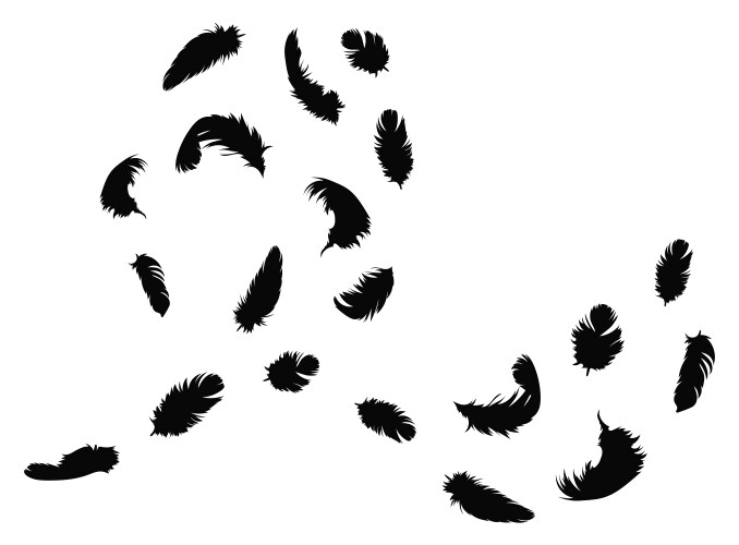 Flock flying feathers a group black Vector Image