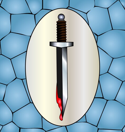 Knife and blood Vector Image