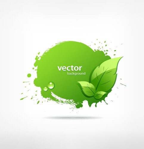 Ecology concept green leaf image Royalty Free Vector Image