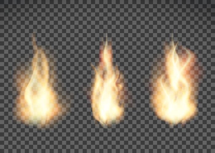 Bright colorful magic fire flame on transparent Vector Image