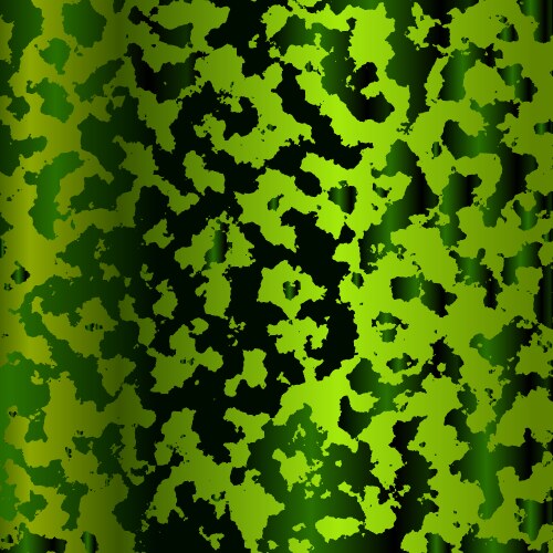 Camouflage pattern Royalty Free Vector Image - VectorStock