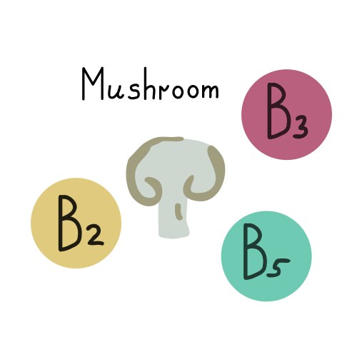 Button mushroom Vector Image