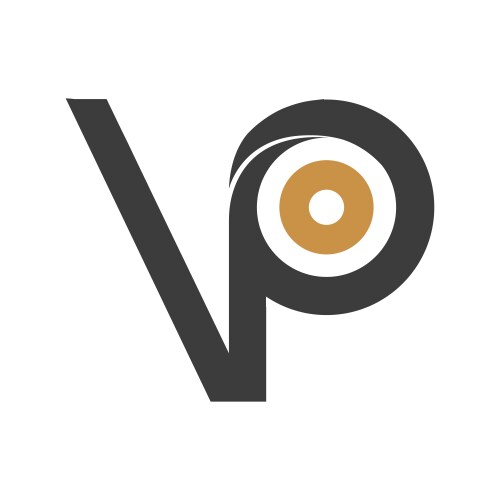 Initial letter vp logo or pv design Vector Image