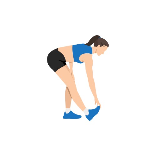 Hamstring Stretch Exercise - Woman Royalty Free Vector Image