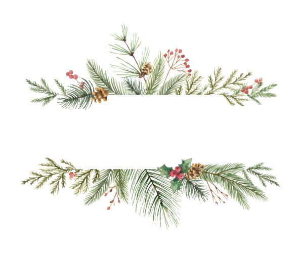 watercolor christmas banner with fir vector image