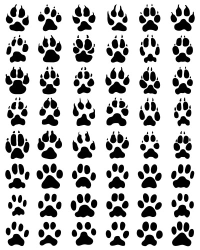 Black print of paws dogs and cats Vector Image