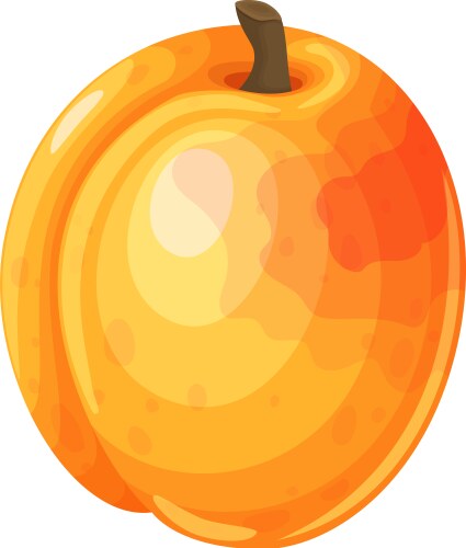 Apricot ripe juicy fruit Royalty Free Vector Image