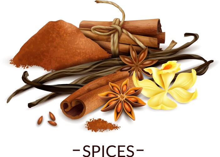 realistic spices set vector