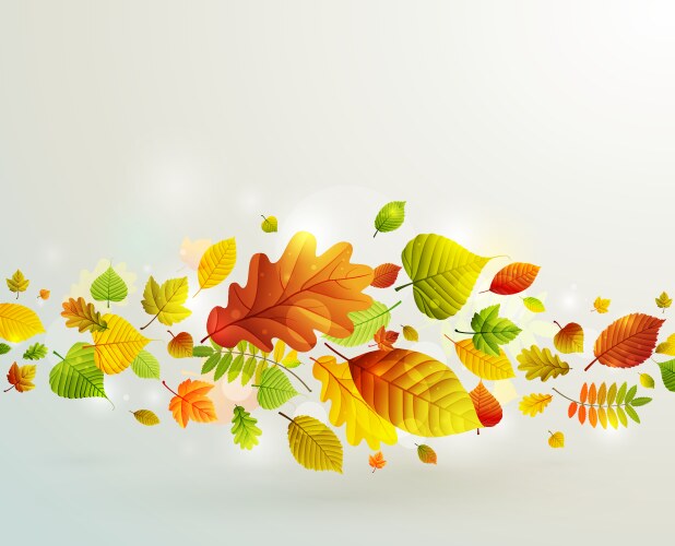 Autumn harvest of vegetables and fruits Royalty Free Vector