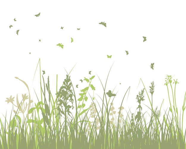 Realistic green grass Royalty Free Vector Image