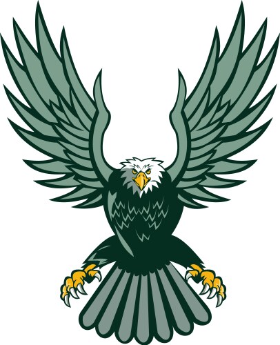 Bald Eagle in Flight - Powerful Swoop Vector Image