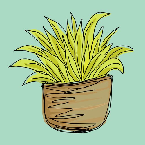 Cute Green Flower in Pot Drawing Vector Image