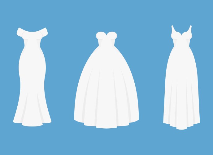 Bride white dress design isolated on blue vector image