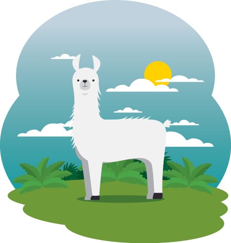 Cute Llama in Green Field Vector Image