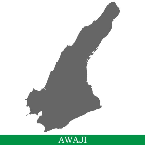 High quality map of iisland Vector Image