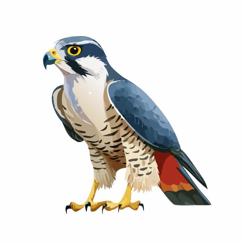 Noble Falcon in Flight Vector Image