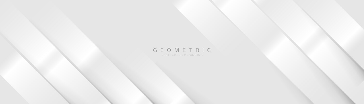 Abstract white geometric diagonal lines vector image