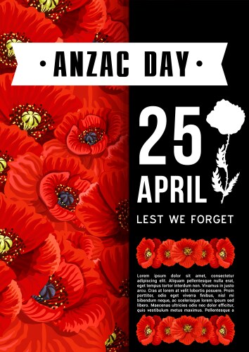 anzac day australian memory red poppy card vector