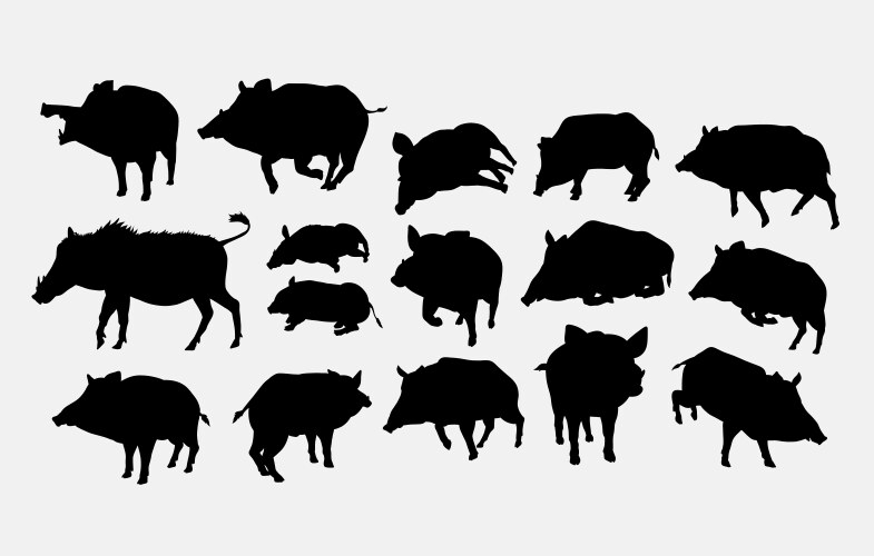 Boar Silhouette Collection Vector Image