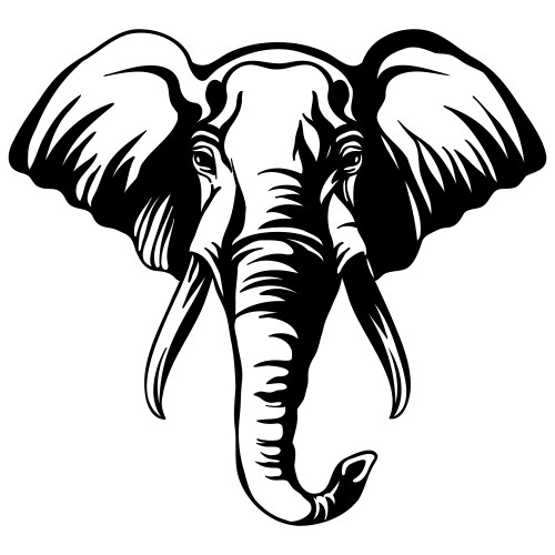 Head mascot elephant isolated on white vector image