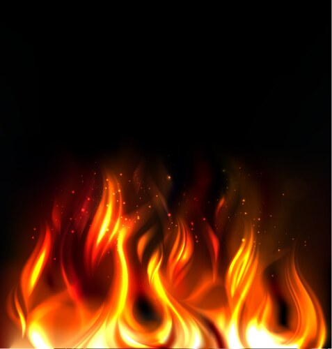 Fire vector image