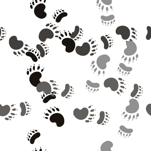 Bear Paw Footprint Pattern Vector Image