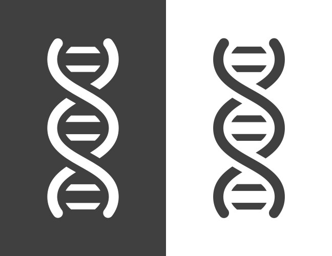 dark grey dna helix icon vector image