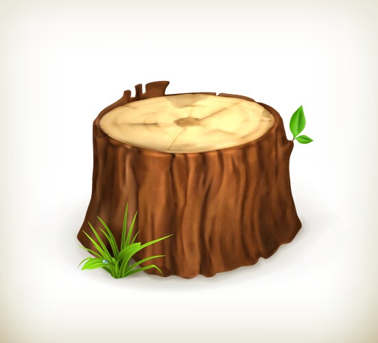 Cross section tree wooden stump round cut Vector Image