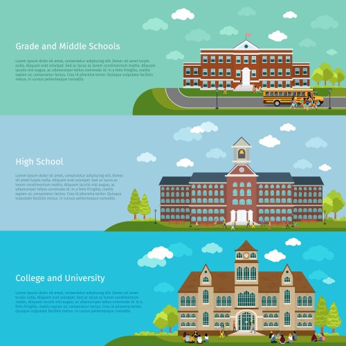 School education high and university study vector image