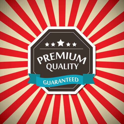 Retro Sunray Label Vector Image