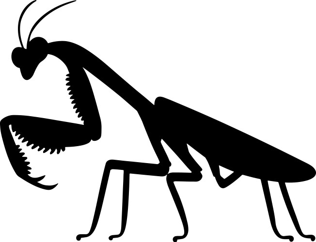 Mantis Silhouette Line Art Vector Image