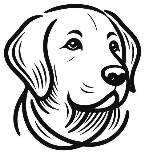 Labrador line art drawing Royalty Free Vector Image