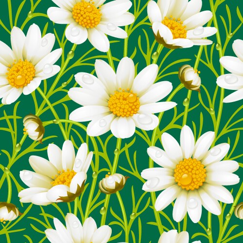 Nature background with beautiful flowers and blue Vector Image