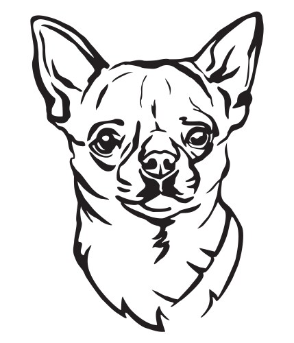 Chihuahua Portrait - Cute Dog Vector Image