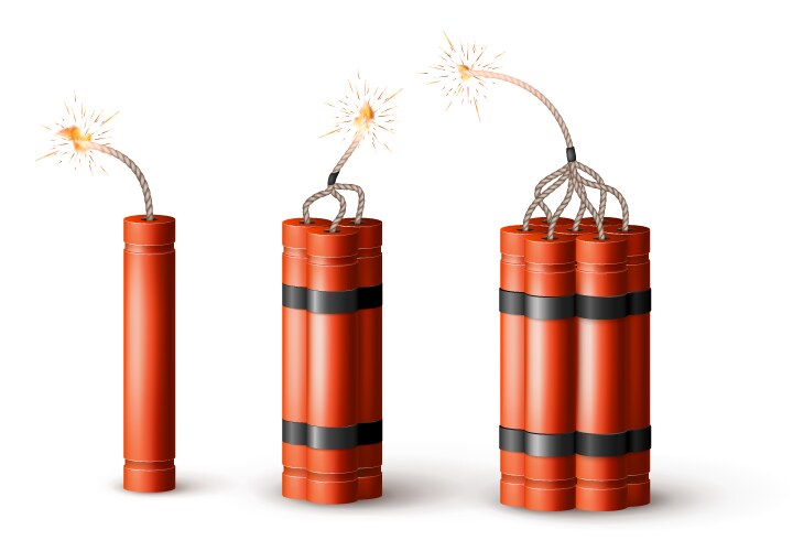 Dynamite bomb with burning wick military detonate vector image