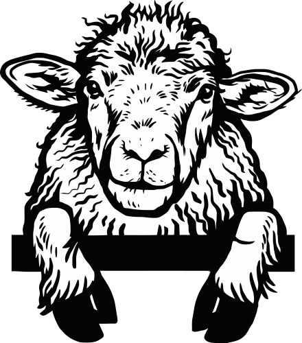 peeking sheep head hand drawn in a graphic style vector image