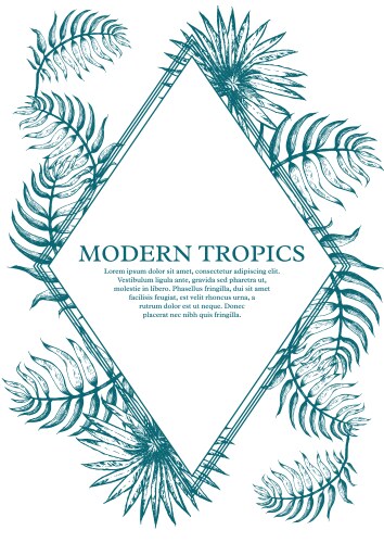 Tropical Palm Leaf Sketch Vector Image