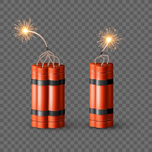 Red dynamite bomb with burning wick military vector image