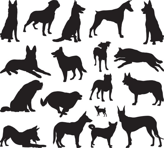 Dog Silhouettes Collection Vector Image