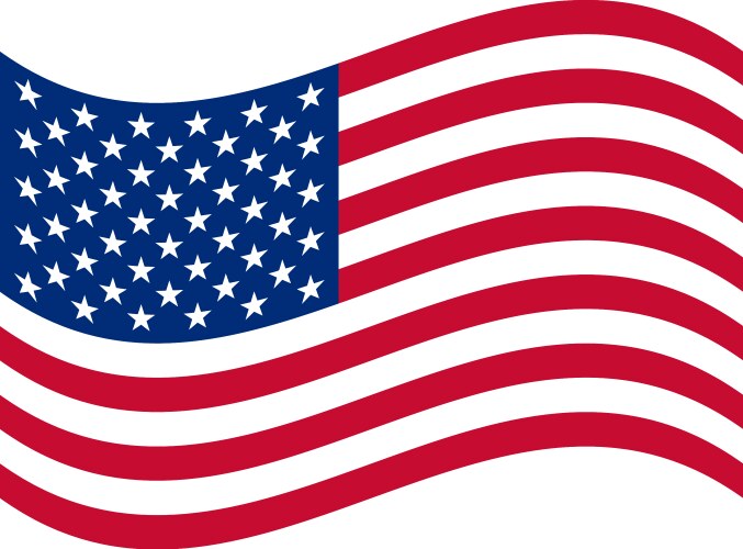 American Flag Waves Vector Image
