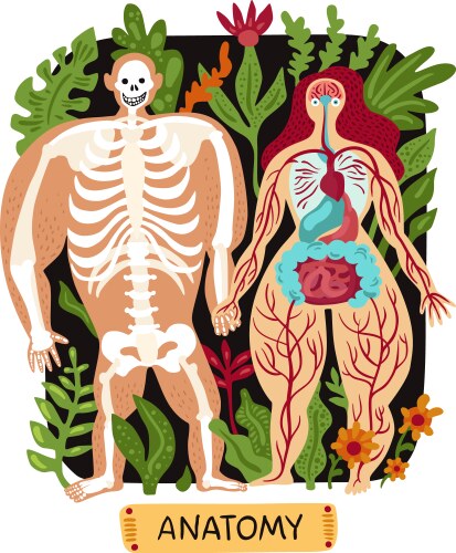Human internal organs posters set Royalty Free Vector Image