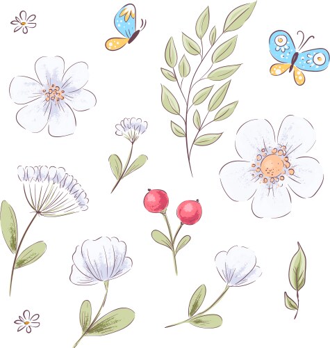 Hand-Drawn Wildflowers & Butterflies Vector Image