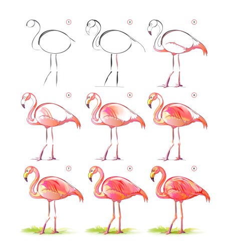 How to learn draw sketch of a beautiful red vector image