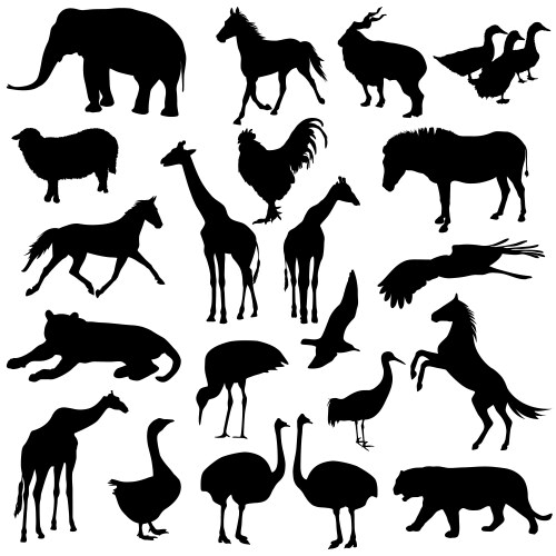 Zoo Animal Silhouettes Collection Vector Image