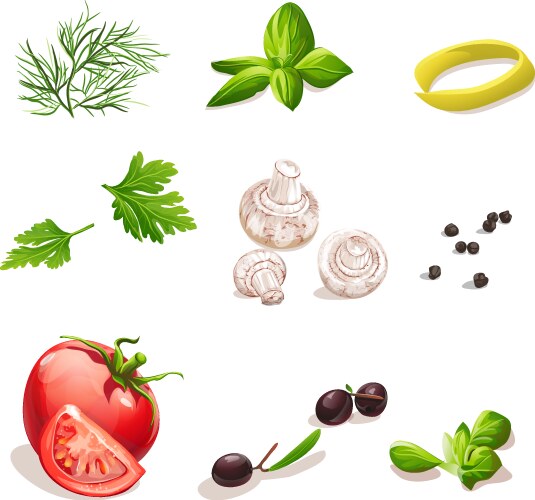 Fresh Vegetable Collection Vector Image