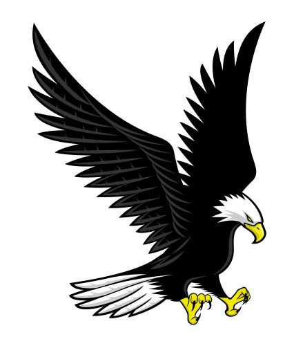 Soaring bald eagle color realistic portrait Vector Image
